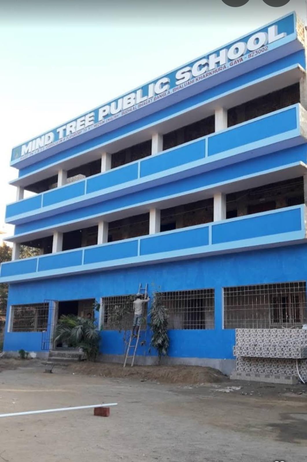 Mind Tree Public School